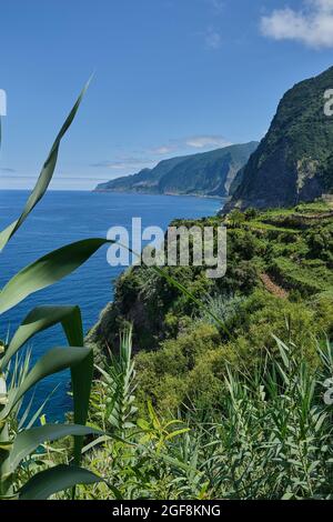 Seixal Village, côté nord de l'île de Madère Banque D'Images