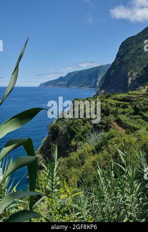 Seixal Village, côté nord de l'île de Madère Banque D'Images