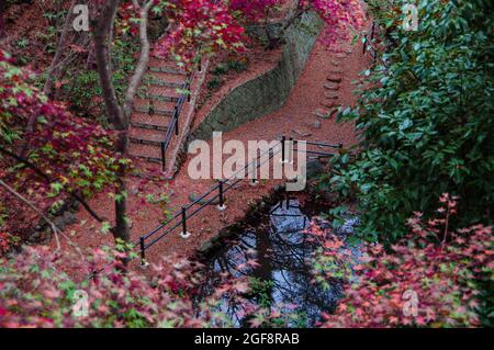 Marches de pierre du parc japonais couvertes de feuilles rouges tombées près du temple de Kiyomizu dera à l'automne Kyoto, Japon Banque D'Images