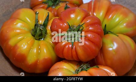 Un choix de tomates Beefsteak maison Banque D'Images