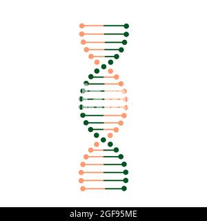 Logo et symboles médicaux de la molécule de vie cellulaire de l'ADN. Illustration de Vecteur