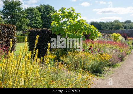 La frontière chaude au jardin clos de Helmsley Banque D'Images