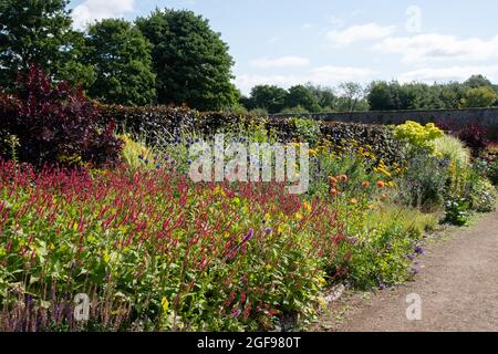 La frontière chaude au jardin clos de Helmsley Banque D'Images