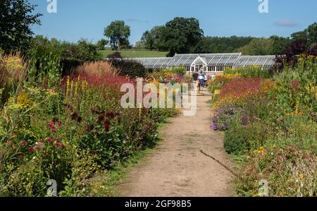 La frontière chaude au jardin clos de Helmsley Banque D'Images