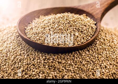 graines de quinoa dans une cuillère en bois, graines riches en calcium, fer et acides gras oméga Banque D'Images
