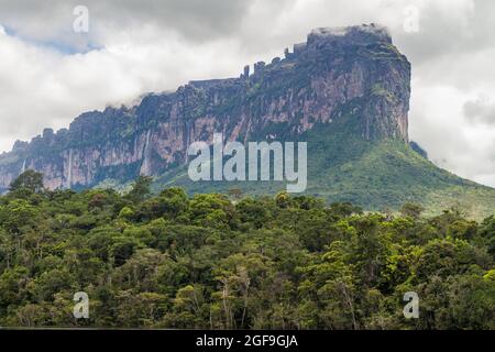 Tepui (montagne de table) Auyan dans le parc national de Canaima, Venezuela. Banque D'Images