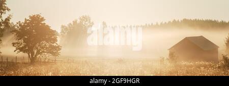 Paysage d'automne, brouillard qui persiste sur la prairie le matin au lever du soleil Banque D'Images