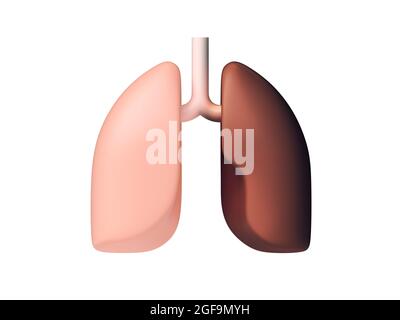 illustration 3d de poumons humains sains et malsains, concept de dépendance au tabagisme. Design plat inspiré Banque D'Images