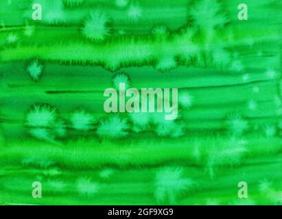 Aquarelle arrière-plan de différentes couleurs Banque D'Images