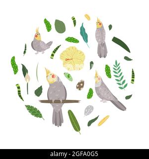 Modèle avec perroquets en cercle pour un imprimé enfant. Composition ronde d'oiseaux tropicaux cocatier. Ensemble vectoriel de la vie de la jungle dans le style de dessin animé. Illustration de Vecteur