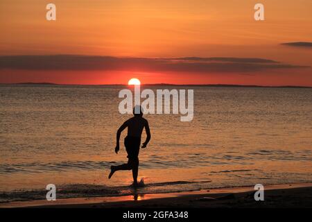 Gower, Swansea, Royaume-Uni. 24 août 2021. Météo au Royaume-Uni: Un garçon aime arnaqueter les hilades sous un soleil couchant, lors d'une soirée sèche, fine et ensoleillée à la plage de Llangennith sur la péninsule de Gower. Les perspectives pour les prochains jours sont pour le même beau temps avec quelques sorts chauds.Credit: Gareth Llewelyn/Alamy Live News Banque D'Images