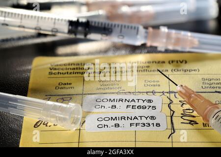 Documentation de la première et de la deuxième vaccination avec le vaccin BioNTech/Pfizer COVID-19 Comirnaty dans un certificat de vaccination international. Banque D'Images