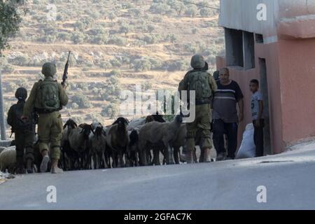 Naplouse, Palestine. 23 août 2021. Les forces d'occupation en patrouille lors d'une opération de recherche dans le village de Salem, à l'est de Naplouse, après que les Palestiniens ont lancé des pierres sur une voiture de colons sur la route de la colonie d'Elon Moreh. Crédit : SOPA Images Limited/Alamy Live News Banque D'Images