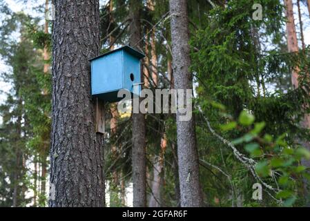 Une maison d'oiseaux maison accrochée sur un arbre dans le parc Banque D'Images