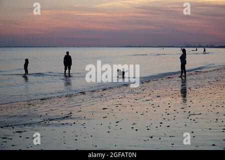 East Wittering, Royaume-Uni, 23 août 2021 : les gens et les chiens apprécient le temps sec sur la plage d'East Wittering dans West Sussex pendant que le soleil se couche sur le Solen Banque D'Images