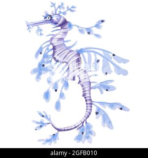 cheval de mer peint à la main aquarelle. Il est parfait pour les cartes, la conception de modèle, les cartes postales. Banque D'Images