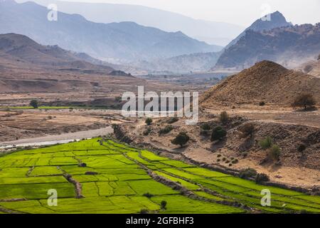 Rivière bordeaux et champ de riz dans les montagnes Zagros, route 63 près de Kalat, Kohgiluyeh et province de Boyer-Ahmad, Iran, Perse, Asie occidentale, Asie Banque D'Images