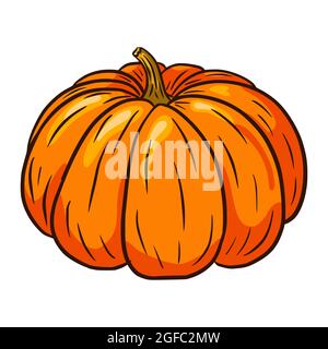 Illustration du squash d'hiver. Style dessin animé. Icône de la gourde d'automne. Croquis de citrouille mûre. Élément pour le design décoratif de l'automne, invitation d'halloween, récolte, autocollant, imprimé, logo, menu, recette Illustration de Vecteur