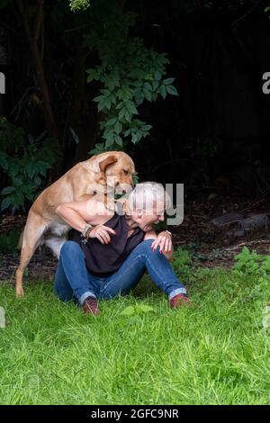 Une belle femme joue avec son chien Golden labrador Retriever sur la pelouse de l'arrière-cour. Femme a du plaisir avec le chien Pedigree fidèle en plein air dans la cour de la maison d'été. Photo de haute qualité Banque D'Images