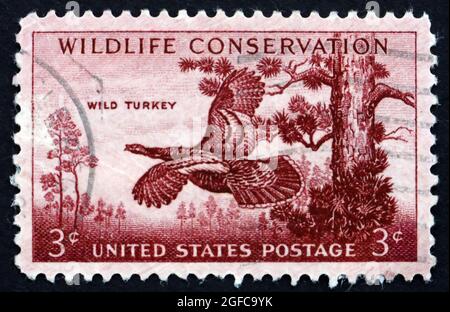 ÉTATS-UNIS D'AMÉRIQUE - VERS 1956: Un timbre imprimé aux États-Unis montre la Turquie sauvage, Meleagris gallopavo, oiseau, conservation de la faune, vers 1956 Banque D'Images