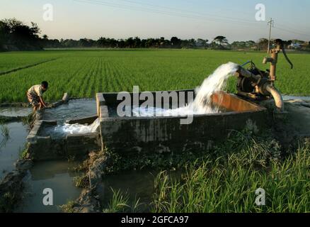 L'utilisation de la technologie moderne dans l'irrigation n'est pas nouvelle au Bangladesh. Les agriculteurs utilisent des puits profonds pour pomper l'eau de la terre pour alimenter leurs champs. Mais en raison de la pénurie énorme de l'électricité farmerss face à la difficulté de fournir l'énergie à leurs machines. Keranogang, Dhaka. Mars 18 2007 . Banque D'Images