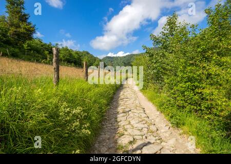 Sentier sur le sentier du Mont Ramaeto près du village de Ventarola, province de Gênes, Italie Banque D'Images