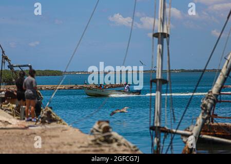 Pêcheurs arrivant dans leur panga ou bateau de pêche au port maritime de Yavaros. Les Yavaros-Moroncaris sont situés dans la municipalité de Huatabampo Sonora Mexico. (Photo de Luis Gutierrez / NortePhoto.com) Pescadores legando en su panga o bote de pesca al puerto marítimo Yavaros. Yavaros-Moroncaris se encuentran en el municipio de Huatabampo Sonora Mexico. (Photo de Luis Gutierrez / NortePhoto.com) Banque D'Images