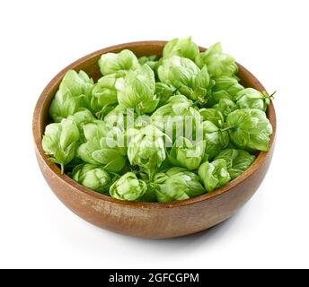 bol de cônes de plantes de houblon vert frais isolés sur fond blanc Banque D'Images