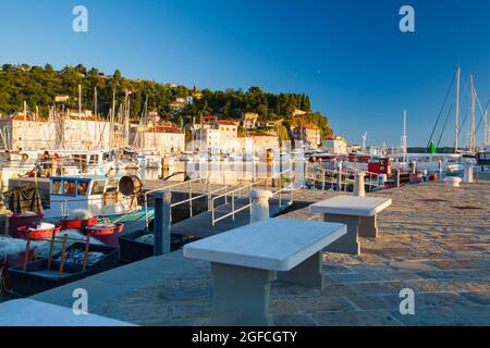 Piran, Slovénie - 23 août 2016: Soirée dans le port de plaisance de Piran.le beau port de Piran est proche de l'entrée de la vieille ville. Banque D'Images