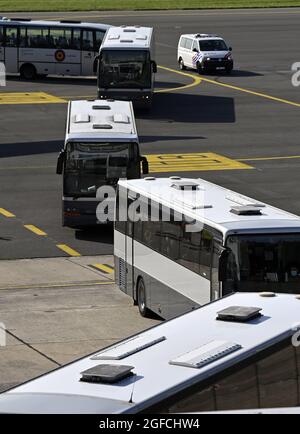 L'illustration montre des bus avec des personnes évacuées partant après l'arrivée d'un avion militaire affrété Airbus A330 MRTT transportant des personnes évacuées Banque D'Images