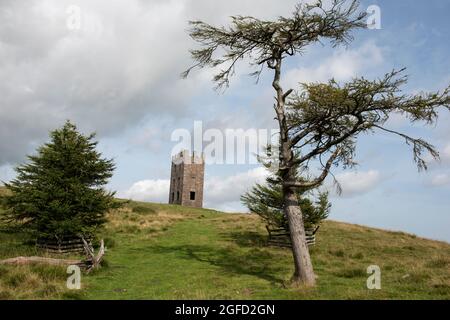 Tour d'observatoire de Kinpurney Hill près de Newtyle, Angus, Écosse. Banque D'Images