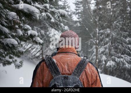 Homme marchant dans la forêt d'hiver, montagnes Tatra, Pologne Banque D'Images