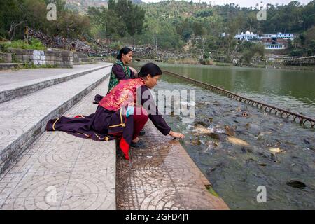Poissons en train de s'élancer sur les rives du Gange à Haridwar. Haridwar est une société municipale du district de Haridwar, dans l'Ind Banque D'Images