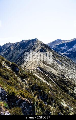 Randonnée pédestre sur le Kepler Track dans le parc national de Fiordland, Nouvelle-Zélande Banque D'Images