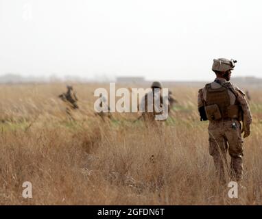 Marines of Combined anti-Armor Team 1, compagnie d'armes, 1er Bataillon, 3e Régiment maritime, patrouille avec Marines of Charlie Co., 1/3, dans un champ herbeux dans la région de Five points le 14 février. Au cours de la patrouille, les Marines ont tenu leur première rencontre avec les aînés du village dans la région avant de s'engager avec les combattants talibans. Banque D'Images