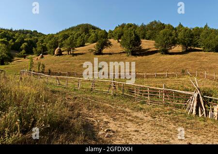 Vue sur un pâturage de montagne avec hayrick traditionnel pour l'hiver, forêt et un potager près du village de Vasilyovo, Bulgarie Banque D'Images