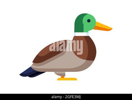 Illustration du canard stylisé. Image d'oiseau sauvage de style simple. Illustration de Vecteur