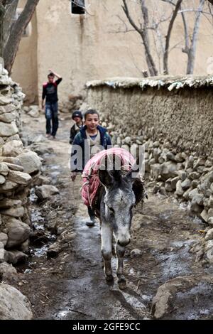 Un enfant afghan et son âne se promènaient dans le village de Froj dans la province de Panjshir, en Afghanistan, lors d'une visite de membres de l'équipe de reconstruction provinciale de Panjshir le 02 janvier 2010. Les membres de l'ÉPR allaient étudier l'emplacement possible d'un réservoir d'eau. (É.-U. Photo de l'armée par le Sgt. Teddy Wade/relâché) Banque D'Images