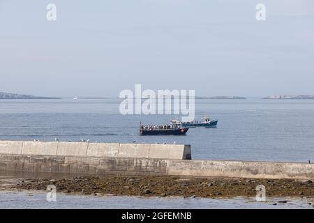 Deux bateaux de croisière de l'île Farne à l'extérieur du port Seahouses; North Sunderland Harbour; Northumberland; Angleterre. Banque D'Images