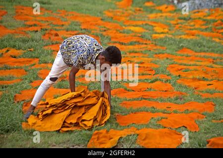 Dhaka, Bangladesh. 25 août 2021. DHAKA CITY, BANGLADESH - AOÛT 25: Un travailleur de Hazaribagh met des morceaux de cuir à sécher dans le cadre du processus de tannage du cuir dans une petite usine pour le vendre à la fabrication de chaussures. Le bronzage consiste à tremper les peaux, puis afin d'éliminer le sel dans une solution de chaux et d'eau pour ramollir les cheveux et les éliminer à l'aide d'une machine, puis les résidus sont enlevés à la main avec un couteau émoussé. Le 25 août 2021 à Dhaka, au Bangladesh. (Photo d'Eyepix/Sipa USA) crédit: SIPA USA/Alay Live News Banque D'Images