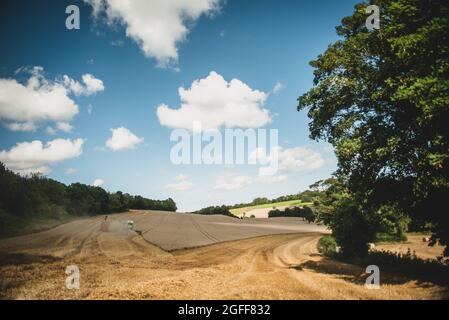 Canterbury, Kent, Royaume-Uni. 25 août 2021. Une moissonneuse-batteuse récolte du blé sous un ciel ensoleillé, près de Canterbury, dans la campagne du Kent. Crédit : Kevin Bennett/Alay Live News Banque D'Images