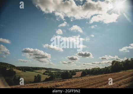 Canterbury, Kent, Royaume-Uni. 25 août 2021. Une moissonneuse-batteuse récolte du blé sous un ciel ensoleillé, près de Canterbury, dans la campagne du Kent. Crédit : Kevin Bennett/Alay Live News Banque D'Images