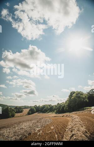 Canterbury, Kent, Royaume-Uni. 25 août 2021. Une moissonneuse-batteuse récolte du blé sous un ciel ensoleillé, près de Canterbury, dans la campagne du Kent. Crédit : Kevin Bennett/Alay Live News Banque D'Images