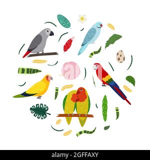 Modèle avec perroquets en cercle pour un imprimé enfant. Composition ronde d'oiseaux tropicaux lovebirs, macaw, perroquet gris africain jaco. Ensemble vectoriel de la vie de la jungle dans le style de dessin animé. Illustration de Vecteur