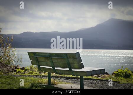 Un banc de parc vide donnant sur Netarts Bay Banque D'Images