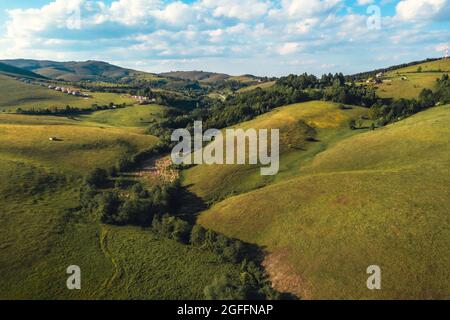 Paysage de collines de Zlatibor en été d'en haut, photographie aérienne de drone de pâturages verts et de bois Banque D'Images