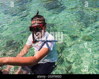 Garçon snorkeling dans la mer turquoise et tenir des étoiles de mer bleues, sept îles, l'île de Seram, l'Indonésie, l'Asie Banque D'Images