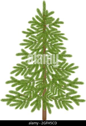 Arbre de noël vide isolé pour les arrière-plans de noël Illustration de Vecteur