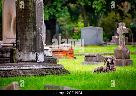 Une statue de chien se trouve au pied de quatre tombes pour enfants dans le terrain de la famille Nott, au cimetière Magnolia, le 14 août 2021, à Mobile, Alabama. Banque D'Images