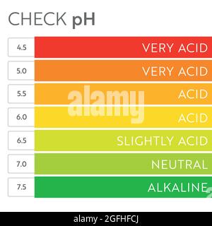 Graphique de l'échelle de pH. Infographie sur l'équilibre acido-basique. Affiche sur l'éducation Illustration de Vecteur